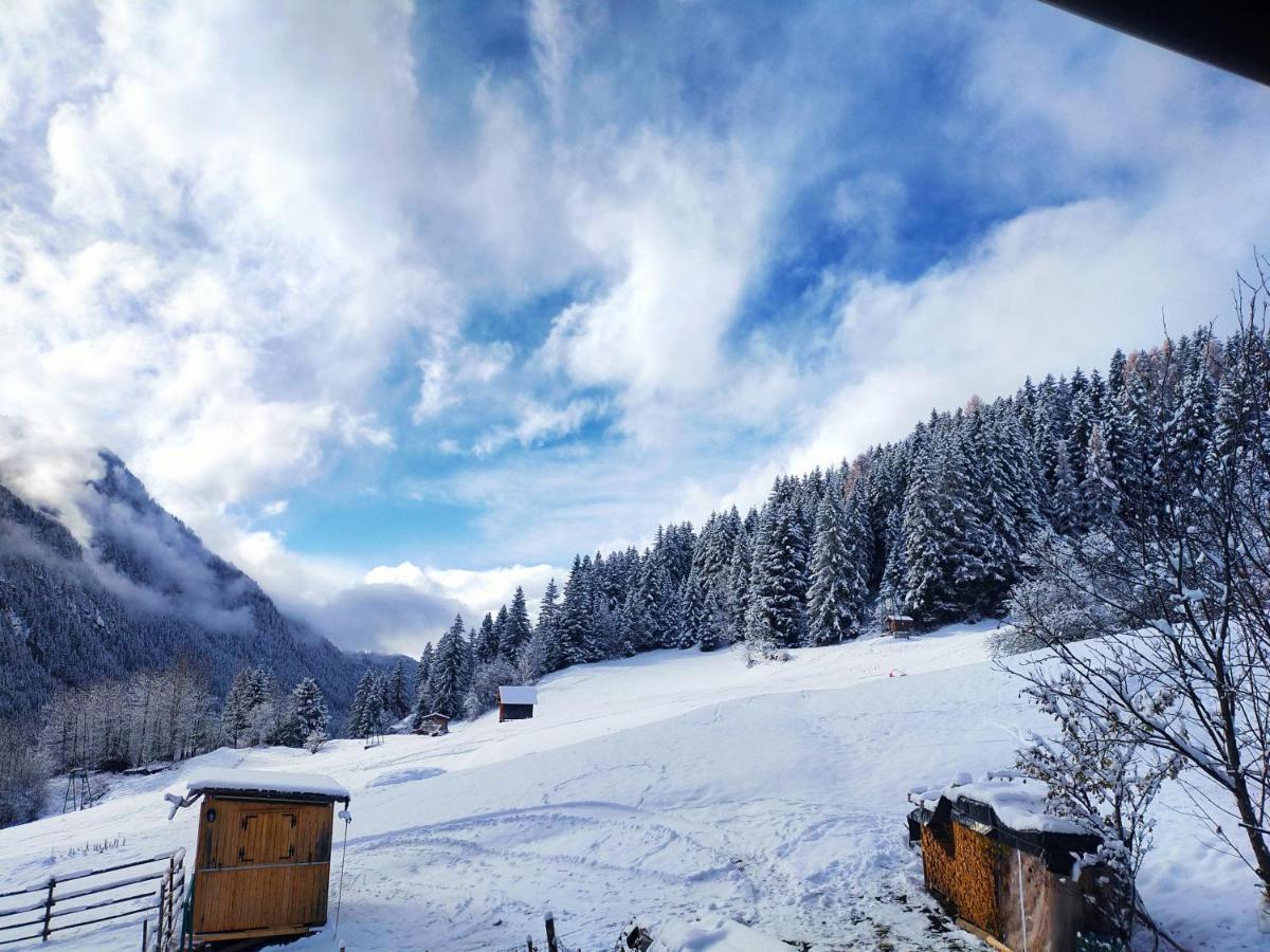 Cesa Cherpei - Dog Friendly Campitello di Fassa Exteriér fotografie