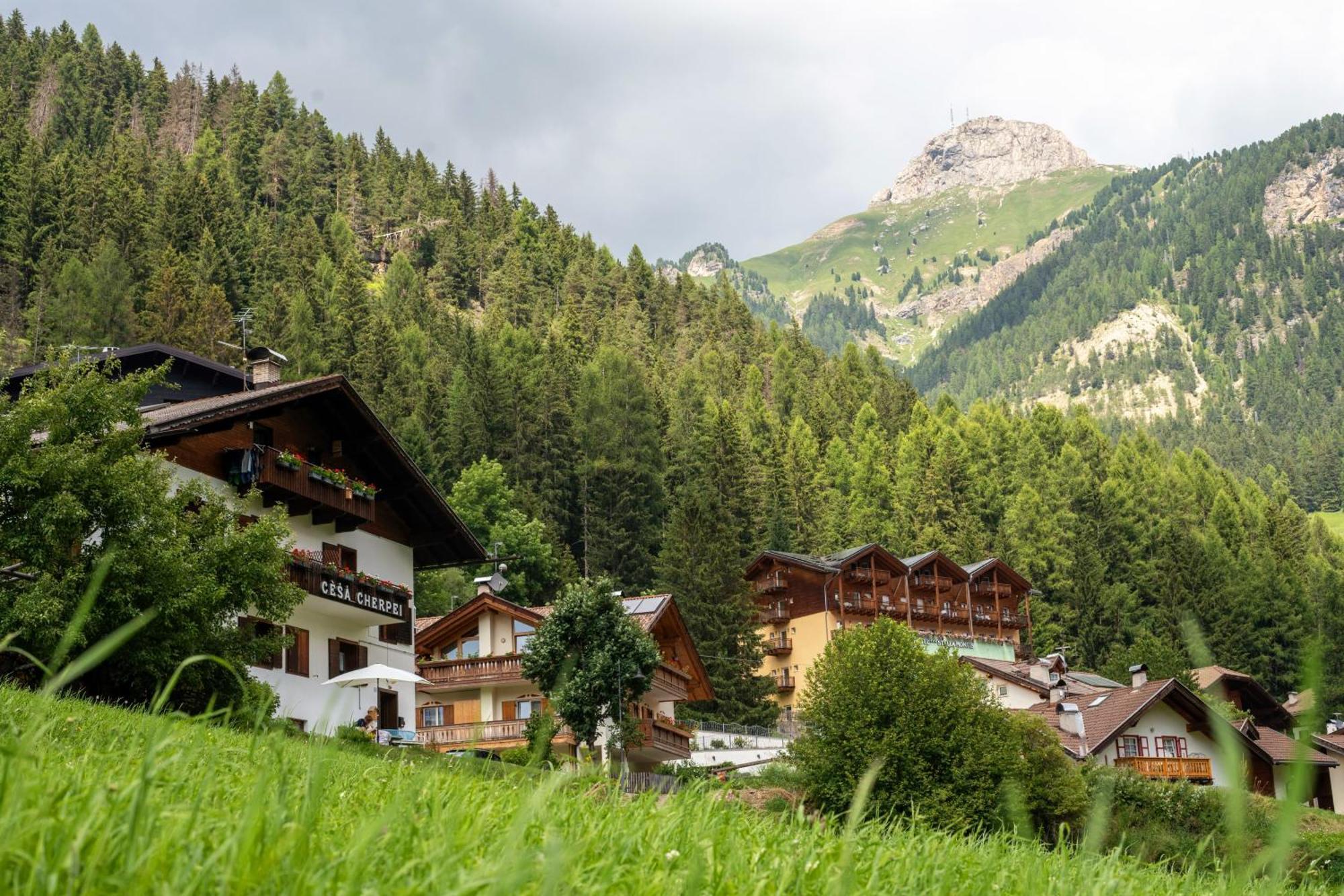 Cesa Cherpei - Dog Friendly Campitello di Fassa Exteriér fotografie